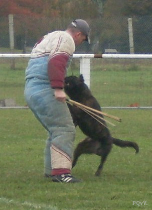  Chabal du Domaine des Sphinx Noirs